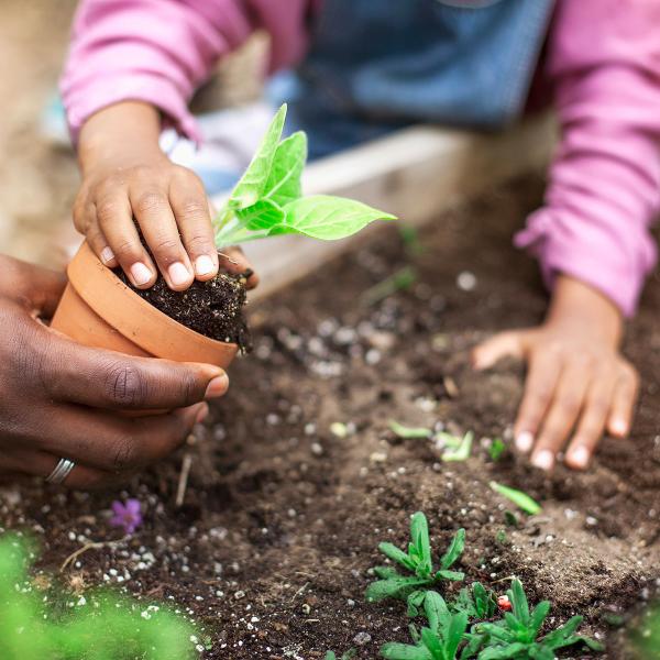 adult hand holding small pot while child places green plant inside