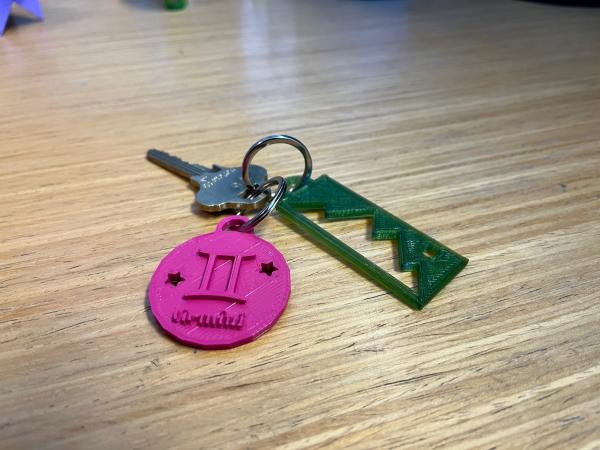 A key with two keychains. One a purple circle with the Gemini symbol on it, the other a green rectangle with mountains.