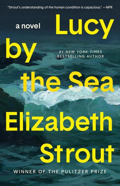 Picture of the book cover Lucy by the Sea