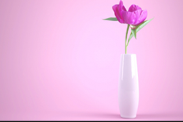 A purple flower in a white vase against a pink background.