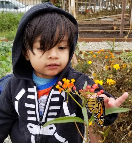 Child and monarch butterfly