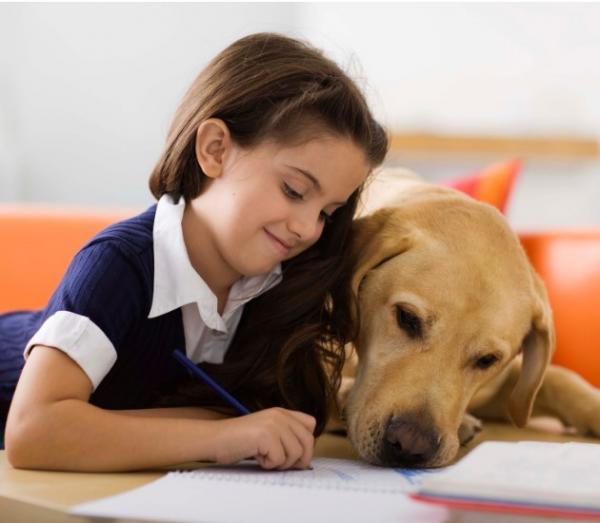 Girl reading next to a dog 
