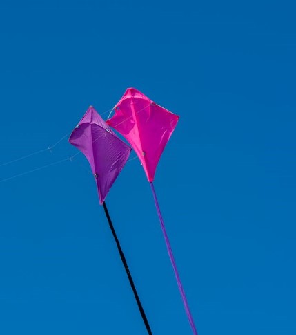 Two kites in the sky