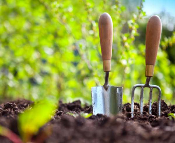 Gardening tools in dirt 