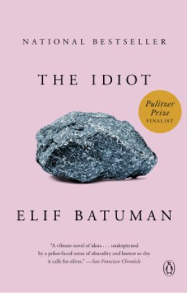 Pick book jacket with the picture of a rock and title The Idiot.