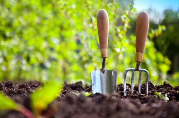 Image for event: Gardening and Nutrition For Teens with The Plant Plug
