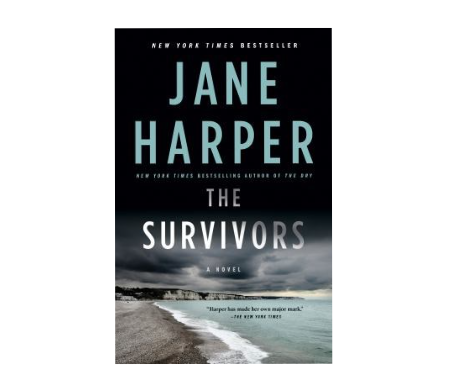Cover of the book The Survivors by Jane Harper which shows a dark cloudy sky over a beach shoreline.