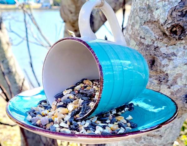 Image for event: DIY Cup &amp; Saucer Bird Feeder