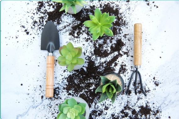 plants and dirt scattered across a white marble slab bracketed by a trowel and digging fork with wooden handles